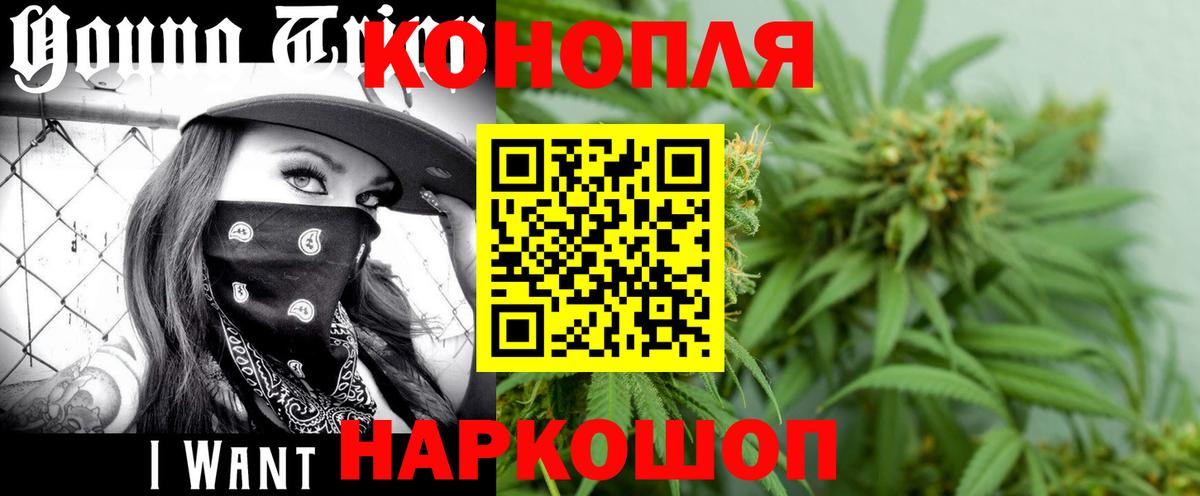 Бошки Шишки семена  Конопля планчик  Губкинский  Вход с VPN 